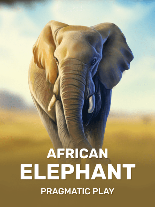 African Elephant