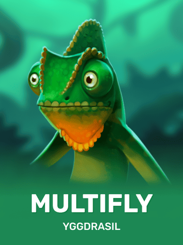 Multifly!